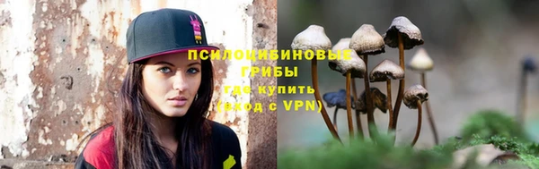 дмт Вяземский