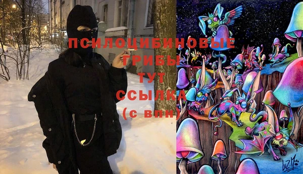 дмт Горняк