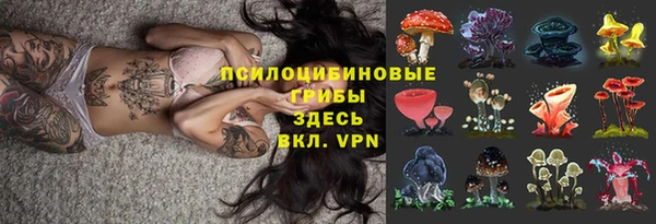 герыч Вязники