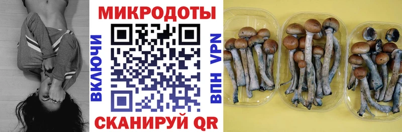 Галлюциногенные грибы Magic Shrooms  Королёв 